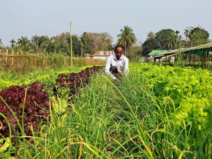 Farmers practicing natural farming methods in Tripura agricultural fields under a state sustainability mission.