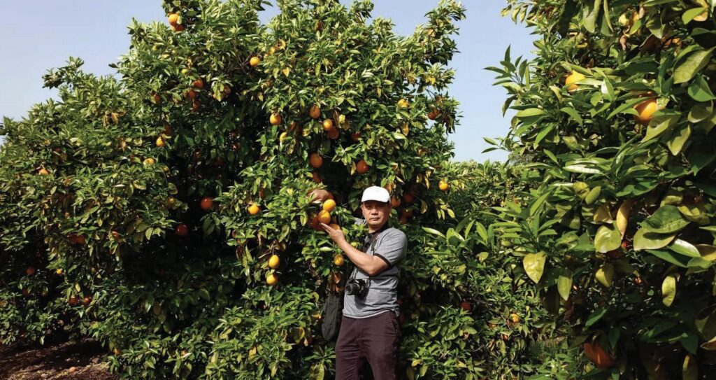 Mizoram Horticulture Department Distributes Free High-Yield Orange Saplings to Jhum Farmers