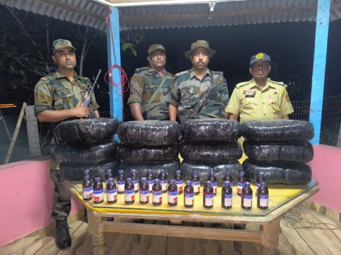 Security personnel displaying seized cannabis during the Sepahijala Ganja Seizure operation in Tripura.