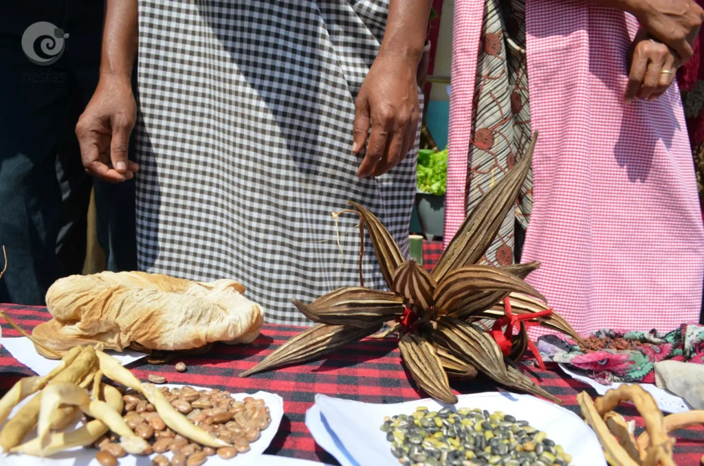 Traditional grocery stores in Meghalaya continue serving local communities amid discussions over commercial licensing policies.