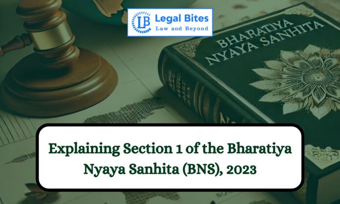 High Court proceedings examine criminal case documents after an incorrect Bharatiya Nyaya Sanhita section citation appears in official records.