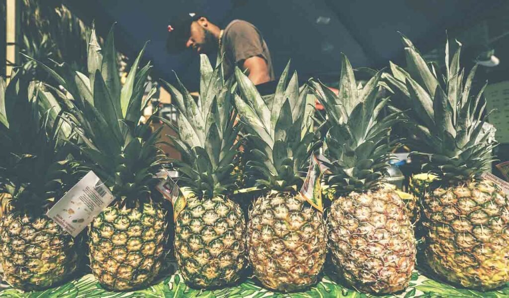 Fresh Meghalaya pineapples displayed at a metro city festival promoting farmer produce and agricultural branding.