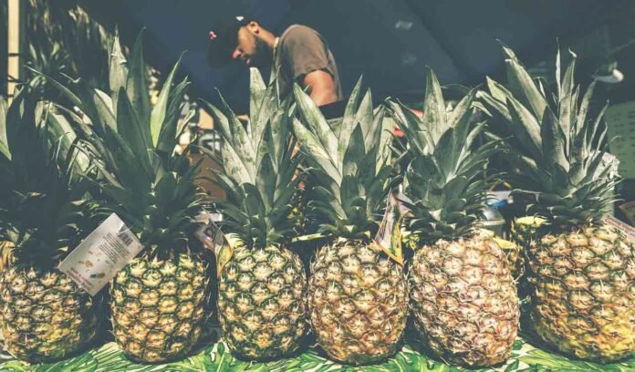 Fresh Meghalaya pineapples displayed at a metro city festival promoting farmer produce and agricultural branding.