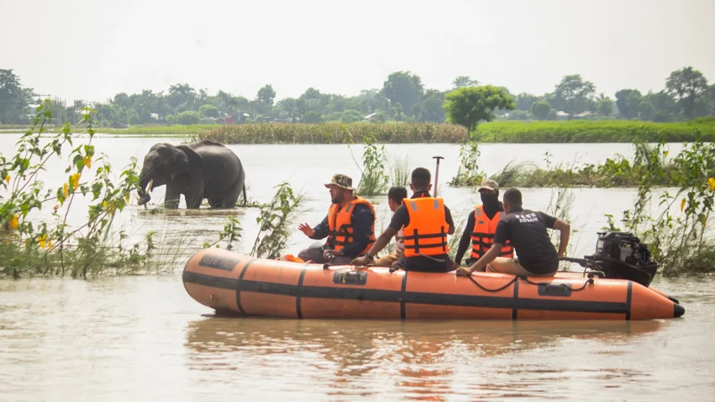 Forest officials conduct anti-poaching boat patrols across floodwaters inside Kaziranga National Park during the monsoon season.