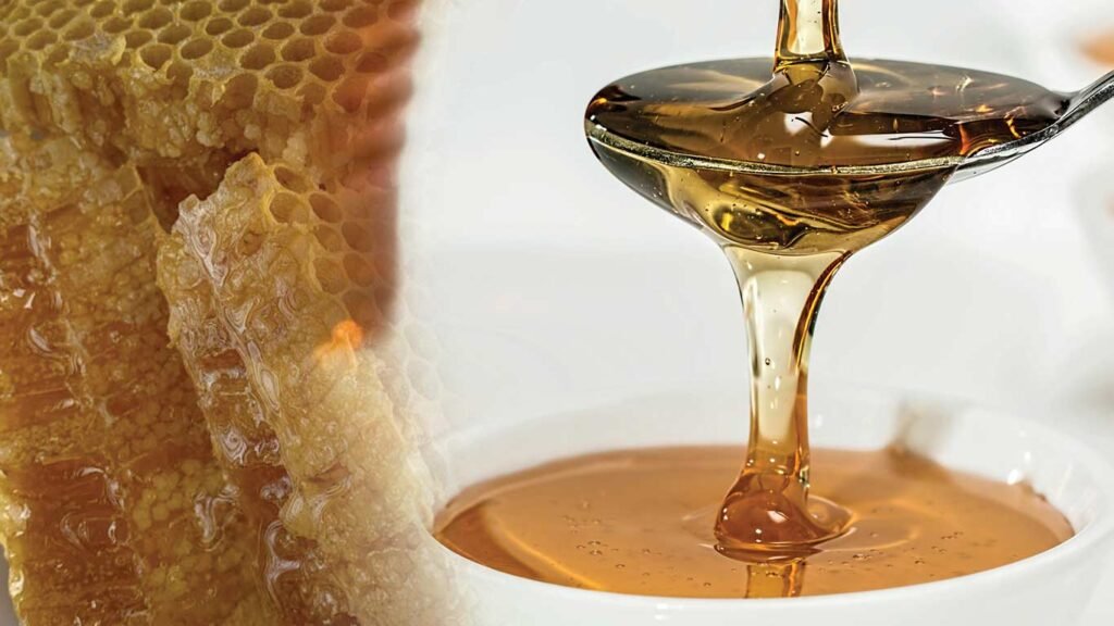 Meghalaya local pine honey brands find international export buyers through central trade portals