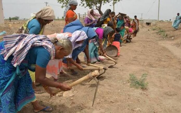 Rural workers participate in MGNREGA activities as authorities approve funding for immediate wage clearances under the employment scheme.
