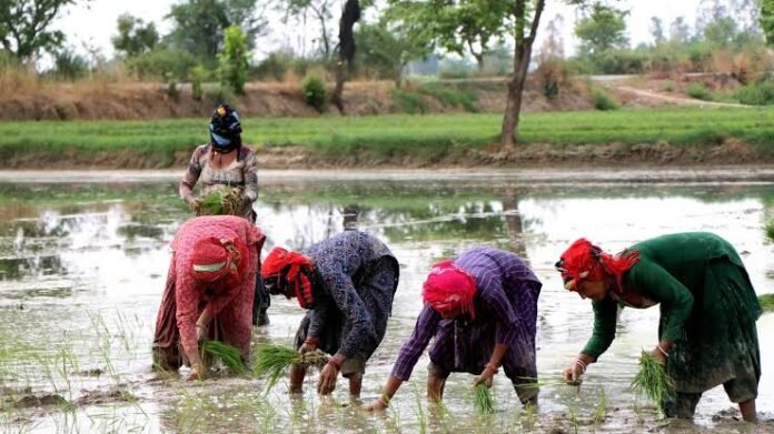 Women farmers in Manipur participate in ICAR climate-resilient agriculture training on adaptive farming techniques.