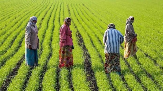 Farmers, agritech entrepreneurs, and agricultural experts attend an organic farming convention in Gangtok, Sikkim.