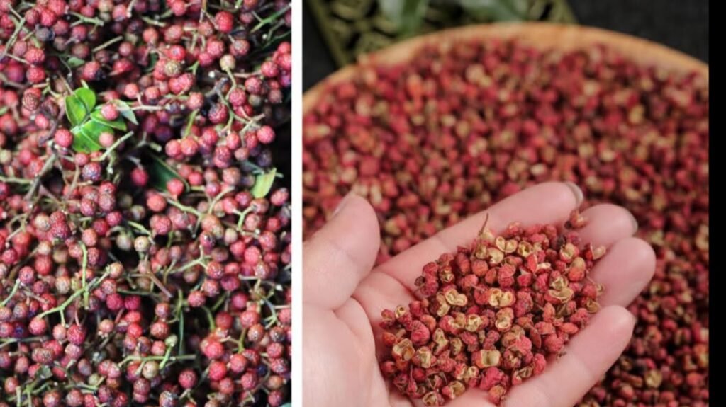 Arunachal Pradesh farmers reportedly earn ₹39 lakh from a 10-tonne commercial harvest of the indigenous Khagi spice.
