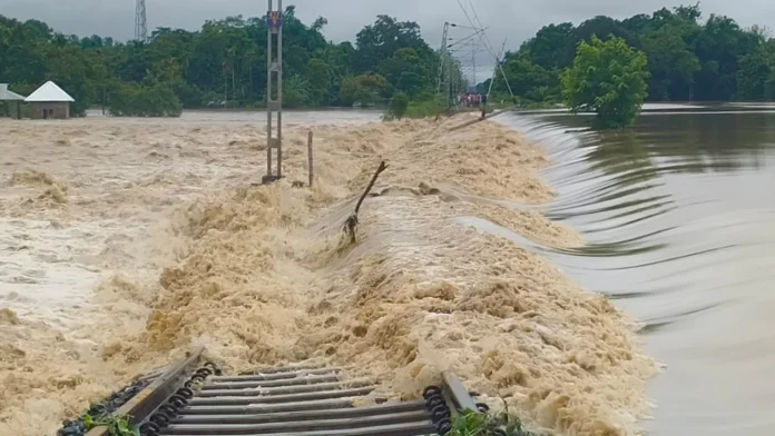 Opposition parties criticise the Himanta Biswa Sarma government amid Assam's reported 95 flood-related deaths.