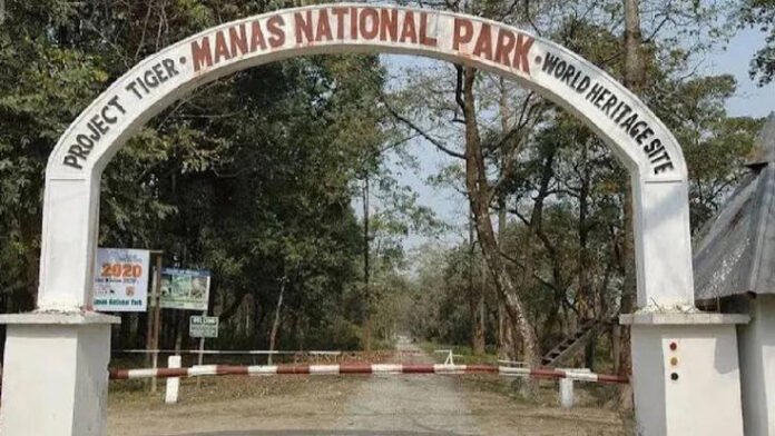Assam: Manas National Park to reopen for tourists on October 2 for 2026-27 season