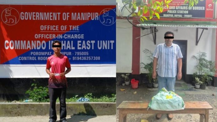 Manipur Police arrest KYKL cadre, man with 3.5 kg ganja in separate operations