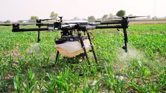 A drone operating above an Assam tea plantation as researchers and estate managers explore precision spraying, crop monitoring and tecnology-driven tea cultivation.