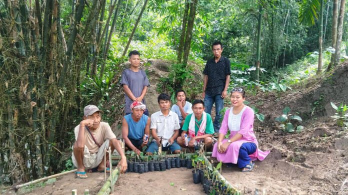 AA2deVyf Aaranyak trains Assam farmers in lemon, pepper cutting propagation
