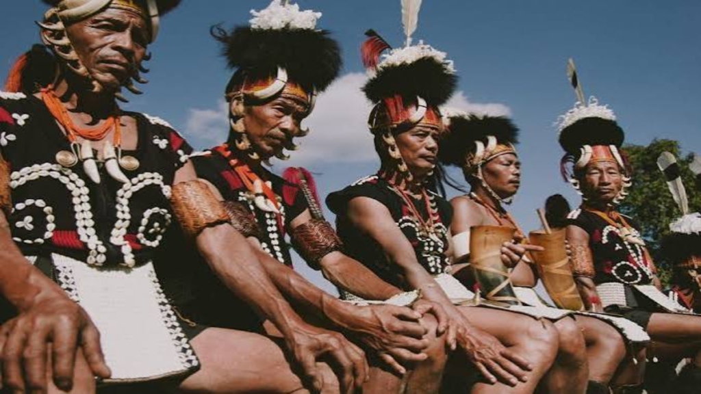 Nagaland tribal bodies raise concerns over Kisama privatisation