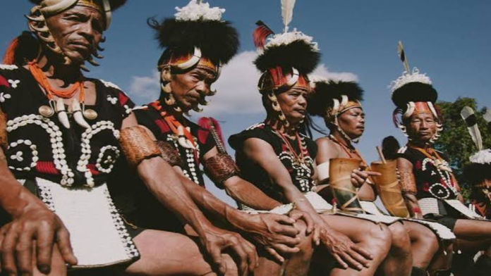 Nagaland tribal bodies raise concerns over Kisama privatisation
