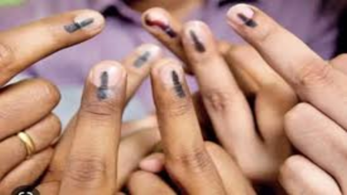Nagaon bypoll now enters final phase with 19 lakh voters