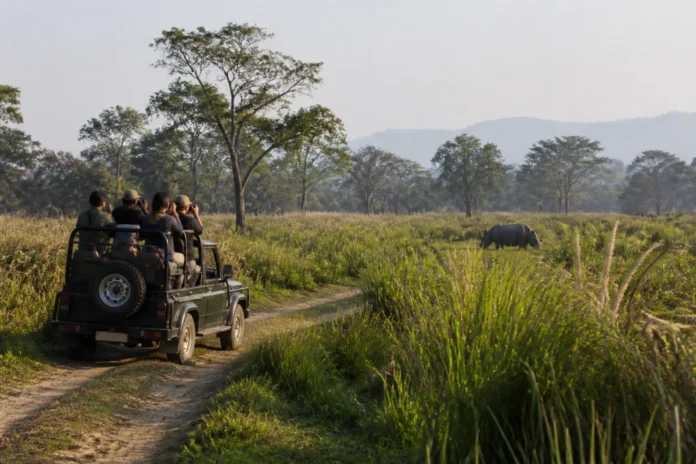 Kaziranga National Park in Assam reopens for 2026-27 season: Jeep safaris begin